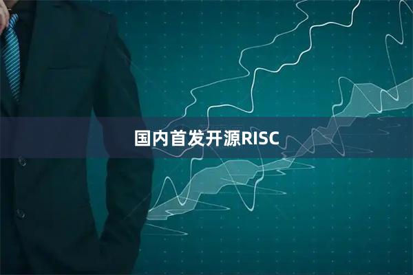 国内首发开源RISC