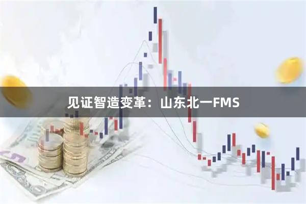 见证智造变革：山东北一FMS