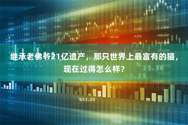 继承老佛爷21亿遗产，那只世界上最富有的猫，现在过得怎么样？